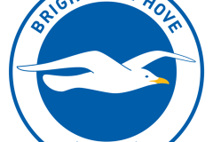 Brighton-Hove-Albion